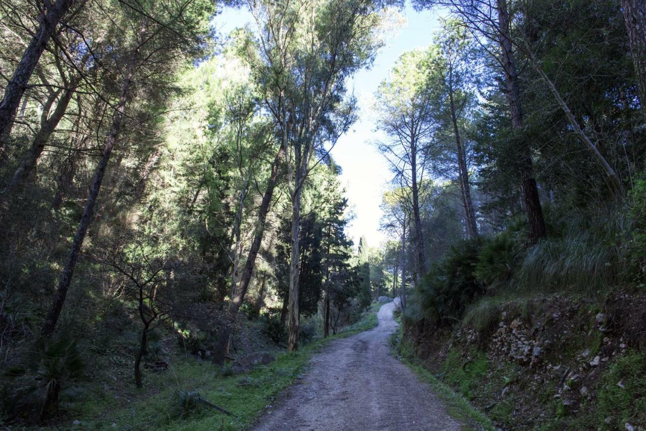 La Dimora Di Segesta B&B Calatafimi Zewnętrze zdjęcie