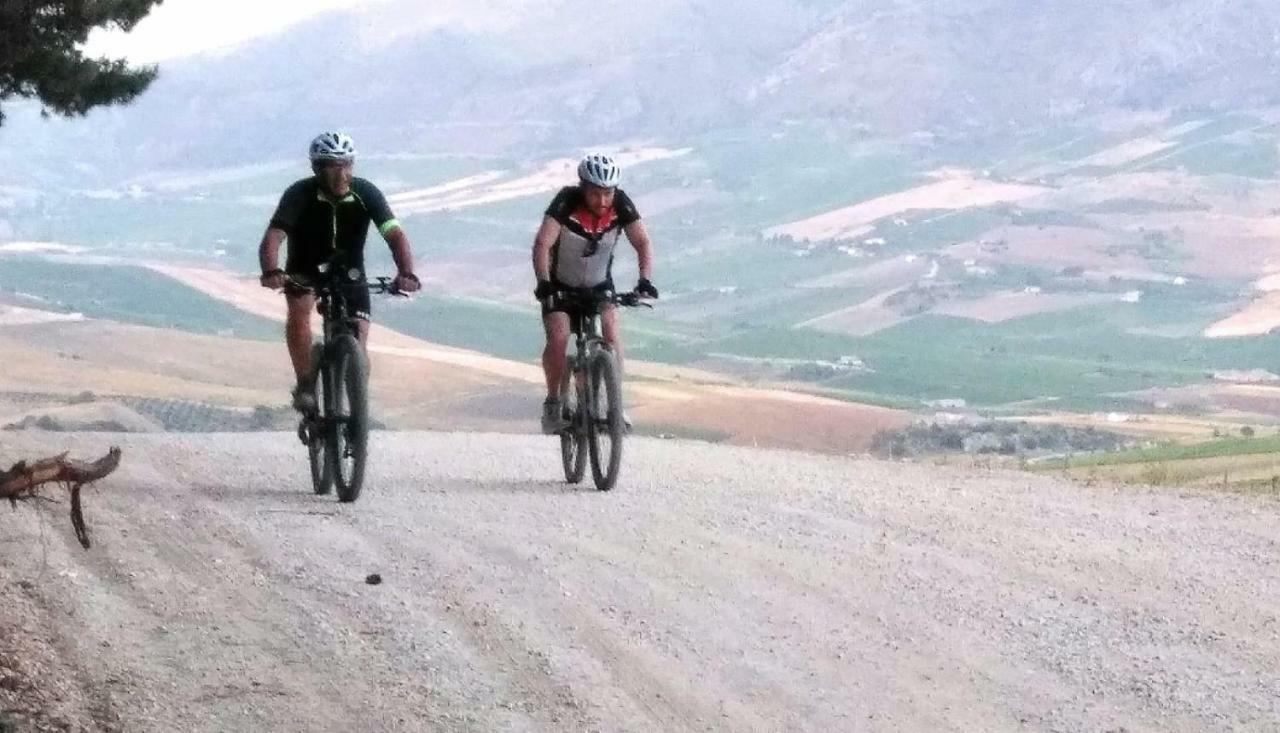 La Dimora Di Segesta B&B Calatafimi Zewnętrze zdjęcie
